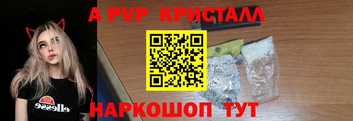 A PVP СК КРИС Шадринск